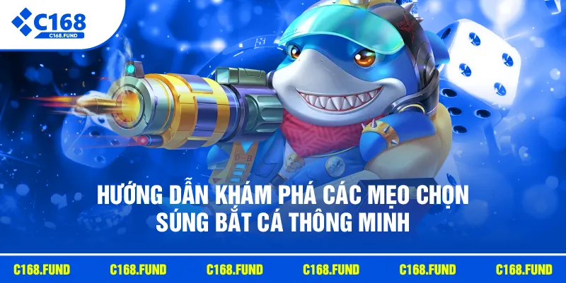 Hướng dẫn khám phá các mẹo chọn súng bắt cá thông minh